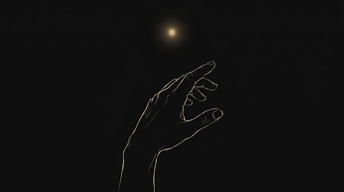 Illustration: The Opening